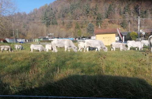 Casa Dolce Vita - Photo 8