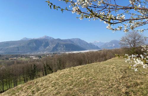 All'Antica Scuderia Del Castello - Foto 17
