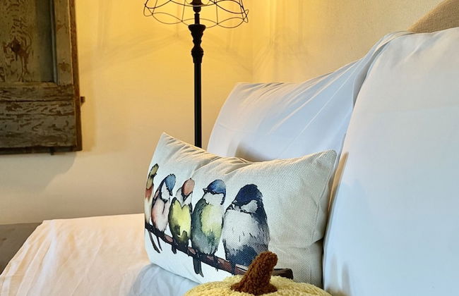 Vento Dorcia - Foto 19