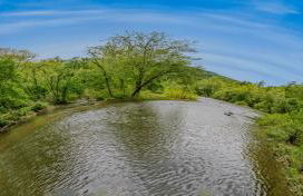 River Walk Cottage - Hot Tub - Pet Friendly - Swing - Screen Porch - River Access - Fire Pit - Wifi - Grill - Deck - King Bed - Foto 57