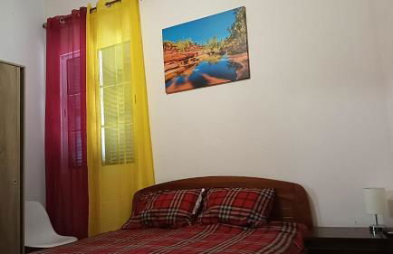 Palm Comfort - Foto 5