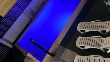 REQUESENS Playa - Foto 3