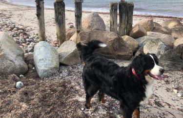 Ferienwohnung „Oberdeck” Hohwacht/Ostsee - Foto 20