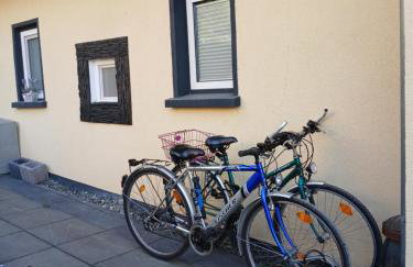 Chillkröte - Foto 3