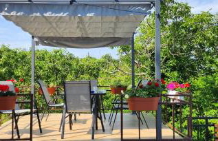 Vila Jenny - Foto 44