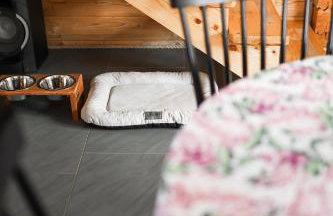 Leśne Zacisze Radawa I - Foto 9