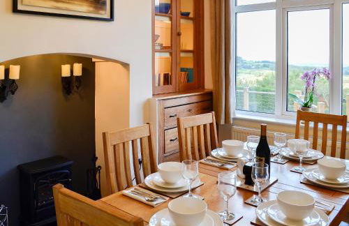 Zonnebloem - Foto 10