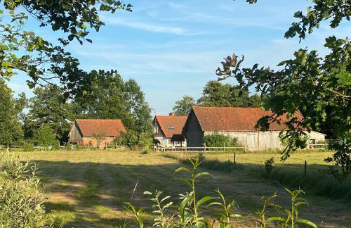 Krzywiec - Pasieka na Szlaku Kopernika - Foto 8