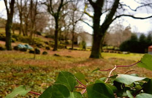 Veiga Mariña - Foto 12