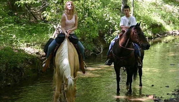 Prêts pour une balade à cheval à Bodrum ?