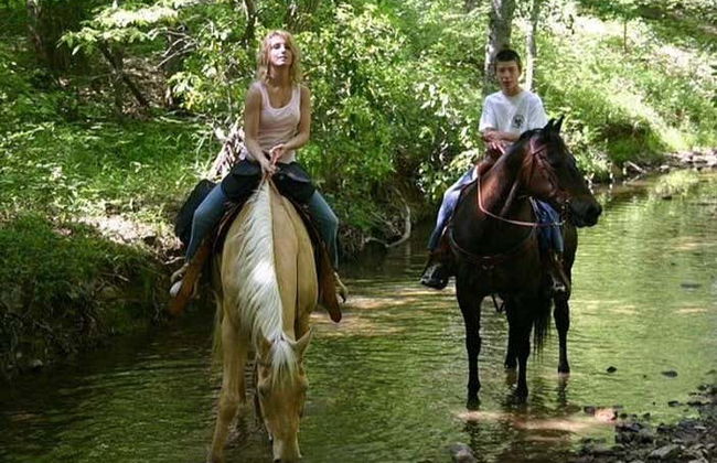 Horseback Riding in Bodrum - Foto 4