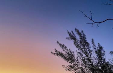 Ap Praia dos anjos - Foto 24