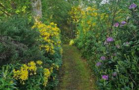 Cloncaird Castle Estate Cottages - Foto 38