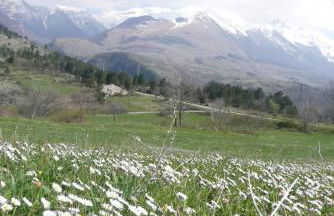 Casa Vacanza Abruzzo - Photo 17