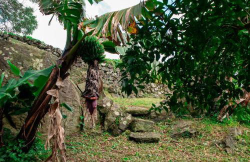 Casa de Campo Franco da Serra - Photo 46