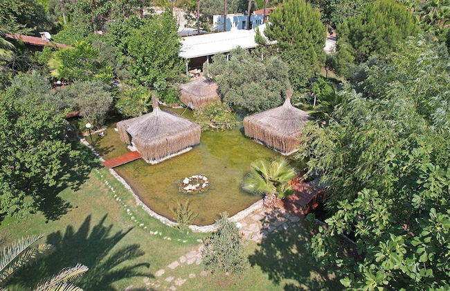 Luna Dorada Hotel - Foto 49