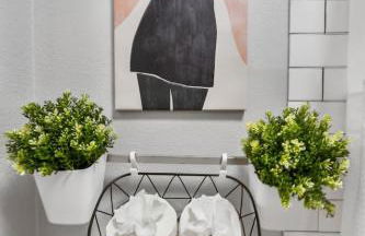 Homey 1BD TCU walkable - Foto 9