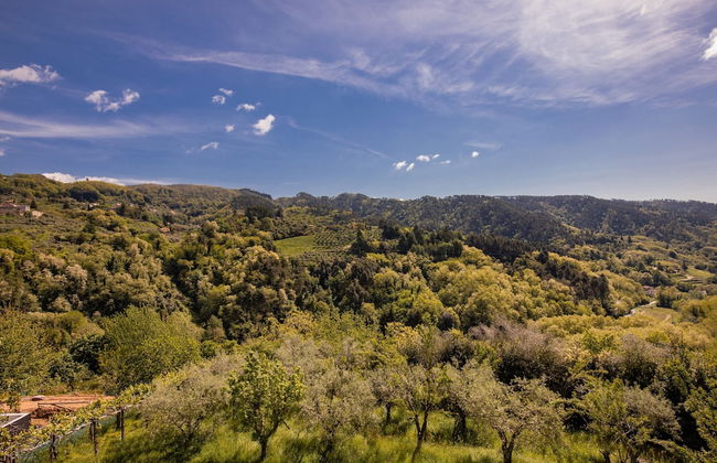 Villa Barsotti - Foto 40