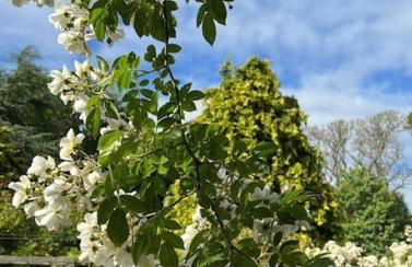 The Cottage, Walworth Demesne - Foto 43