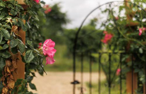 Dreamy Suffolk Country Cottage Escape - Photo 32