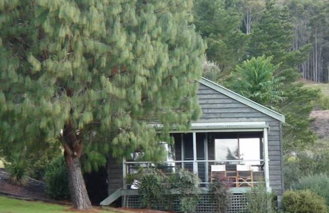 Greenwood Cabin in Kangaroo Valley - Foto 12