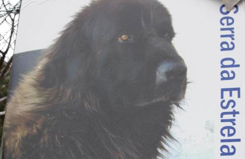 Casa do Tio João - Foto 47