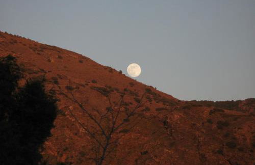 Bancal de Los Pérez - Foto 45