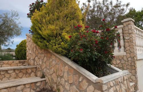 Casa de Pascual - Foto 22