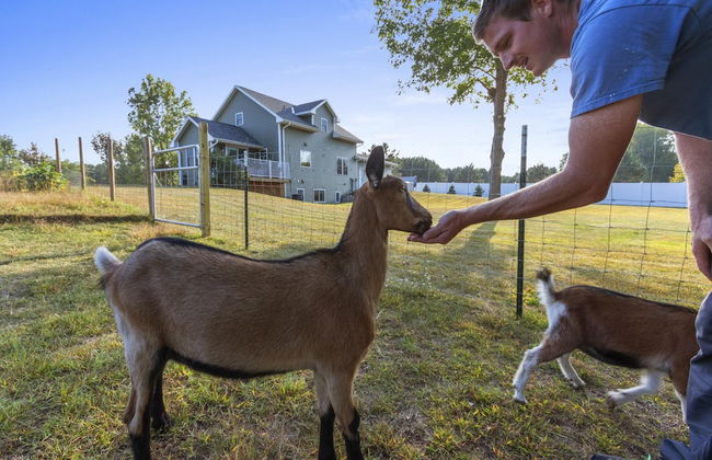 The Goat House Waterfront Hottub 3 Acres - Foto 5