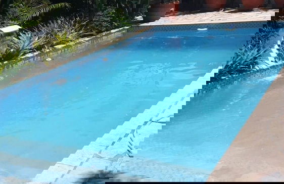 Andorinhas - Foto 16