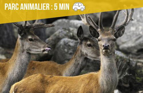 Appartement aux pieds des pistes - Foto 19