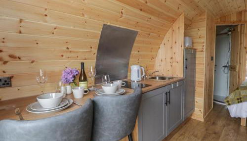 Dysynni Pod - Foto 5