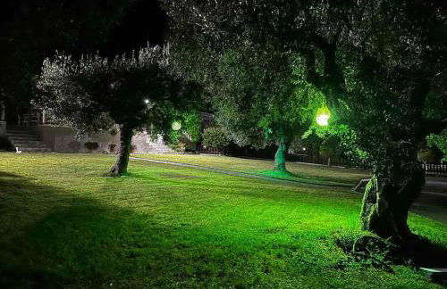 House Garli Premium Hospitality - Photo 66