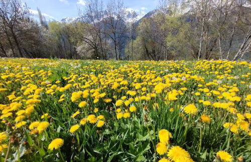 Casa per vacanze degli gnomi - Foto 24
