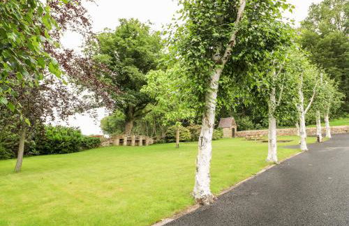 Bluebell Cottage - Foto 18