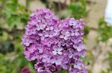 Domaine des Prés de Joussac - Entre Estuaire et Océan - Foto 38