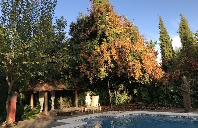 Finca La vega - Foto 43