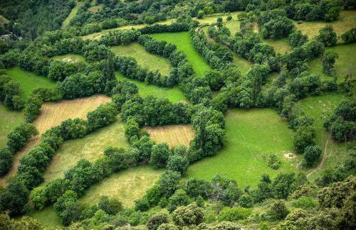 Casa Joana - Apartamento La Colomina - Foto 27