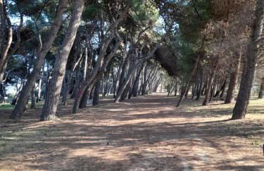 BOUGANVILLE casa vacanza ambiente climatizzato con wi fi - Foto 65