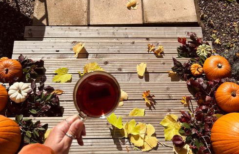 The little shepherds hut - Foto 3