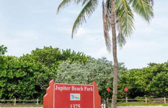 The Golden Hour - Foto 72