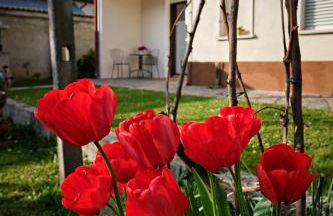 La Casa dei Nonni - Foto 3