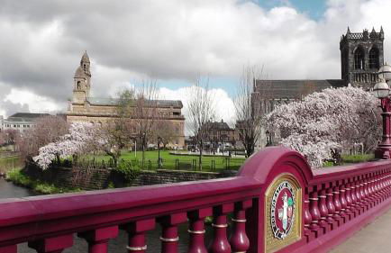 Mycosy 605 - Foto 22