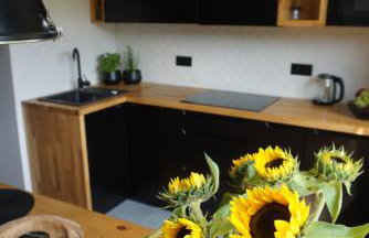 APARTAMENTY JEDYNE TAKIE.... - Photo 1