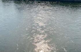 Sun Street Apartment - Foto 32