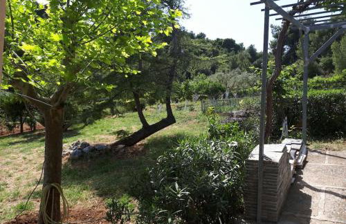 Villa - Farmhouse - Photo 25