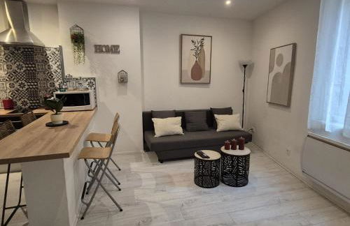 Le Cocon de la Cathédrale au cœur de Metz - Foto 6