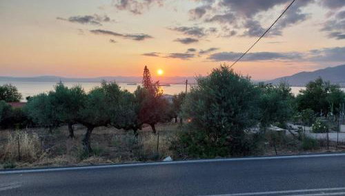 Iliovasilema - Foto 4