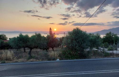 Iliovasilema - Foto 4