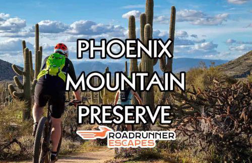 Glendale Escape Private Pool & Charming Patio - Photo 63